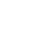 Ari Elektronik
